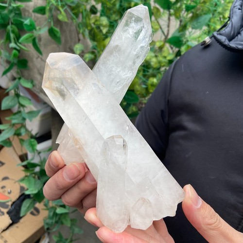 7lb natural clear white - 1.7lb,