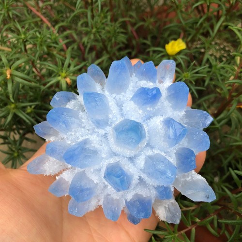 300g new find blue phantom - 300g+,